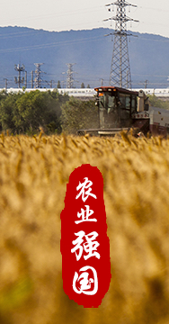 農業(yè)強國是社會(huì )主義現代化強國的根基。