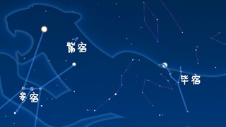 虎年來(lái)了，抬頭尋找天上的“白虎”