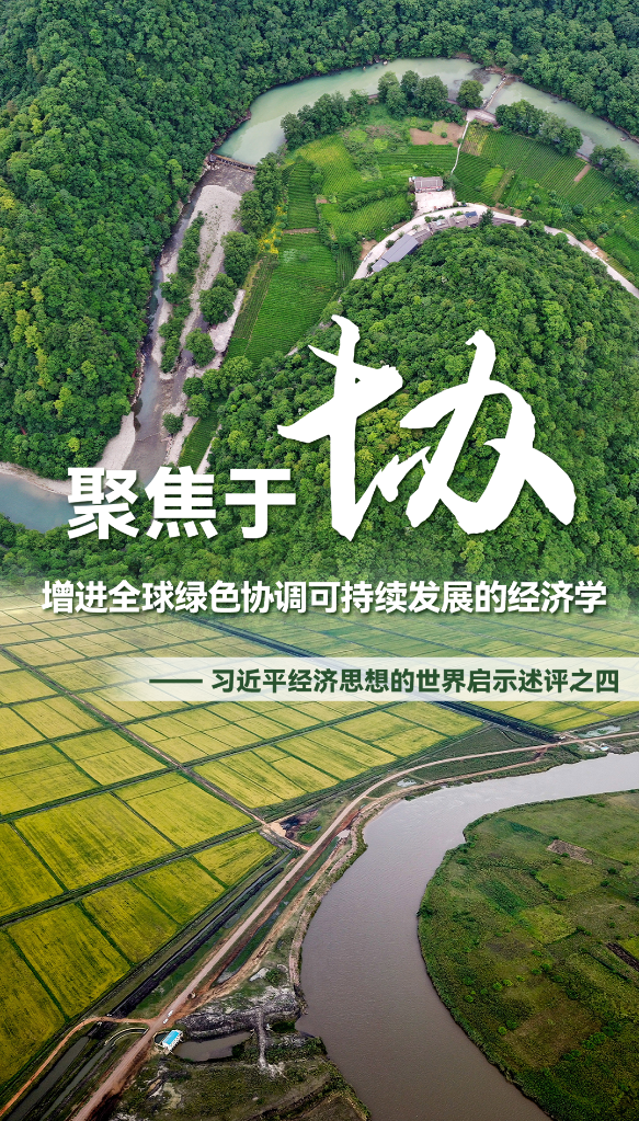 聚焦于“協(xié)”，增進(jìn)全球綠色協(xié)調可持續發(fā)展的經(jīng)濟學(xué)