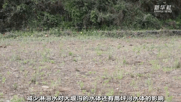 曾經(jīng)被“遺棄”的它們 搬到新家啦！