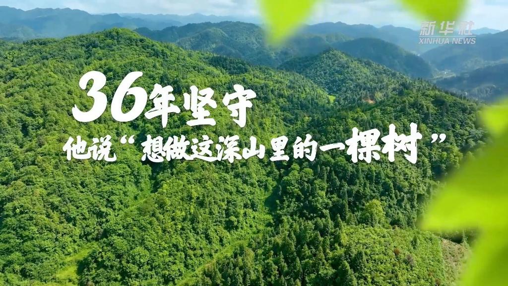 36年堅守！他說(shuō)“想做這深山里的一棵樹(shù)”