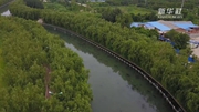 沈陽(yáng)細河污染治理見(jiàn)成效