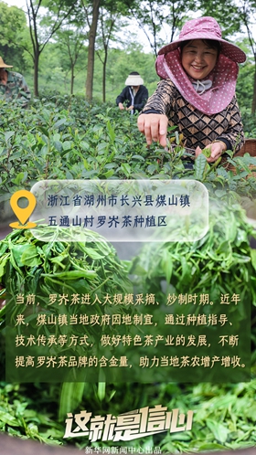 這就是信心丨應季收獲忙！看田間地頭上的增收新路子