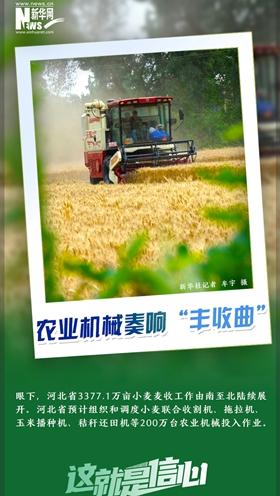 這就是信心｜好一派豐收景象！