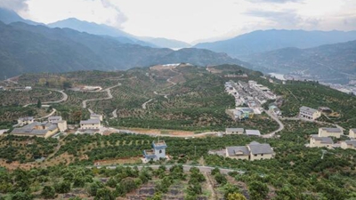 橙香富山鄉——一個(gè)三峽村莊的綠色“蝶變”