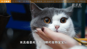 帶萌寵坐火車(chē)？你需要知道這些事！