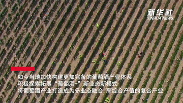 寧夏著(zhù)力打造多業(yè)態(tài)融合葡萄酒產(chǎn)業(yè)