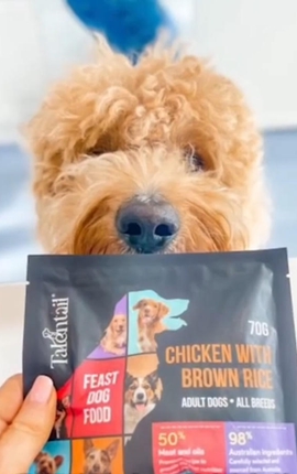 這份來(lái)自澳洲的“寵愛(ài)”，正飛向進(jìn)博會(huì )