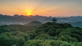 國際森林日丨提升生態(tài)碳匯能力，植樹(shù)造林怎么干？