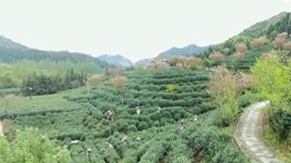 萬(wàn)象“耕”新！碼住人間四月天