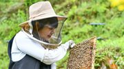 春風(fēng)喚來(lái)燕歸鄉——人才回流助力貴州鄉村振興開(kāi)新局